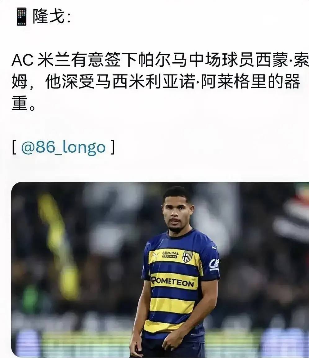 意甲媒体透露：若米兰放弃贾沙里，中场人员也够用，其他资金将会投入到中锋和后卫的简单介绍